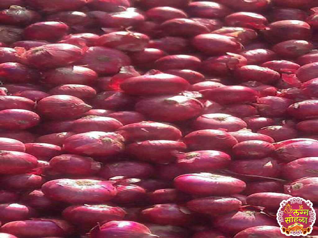 Sai Datta Vegetable Company