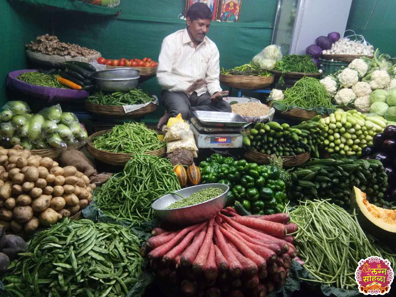 C N D Vegetables & Suppliers 