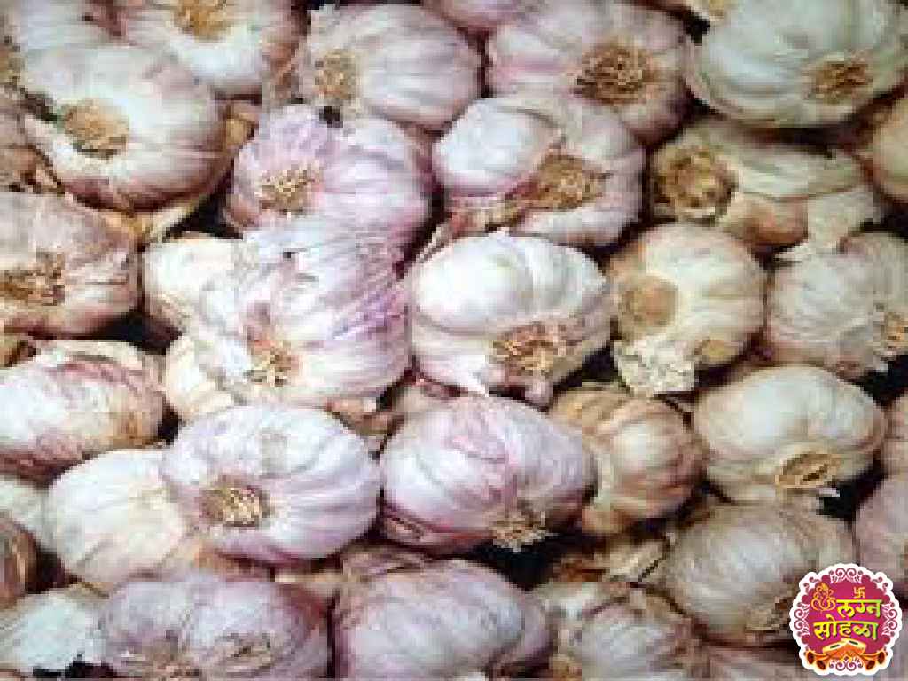 Shri Siddhivinayak Veg Suppliers 