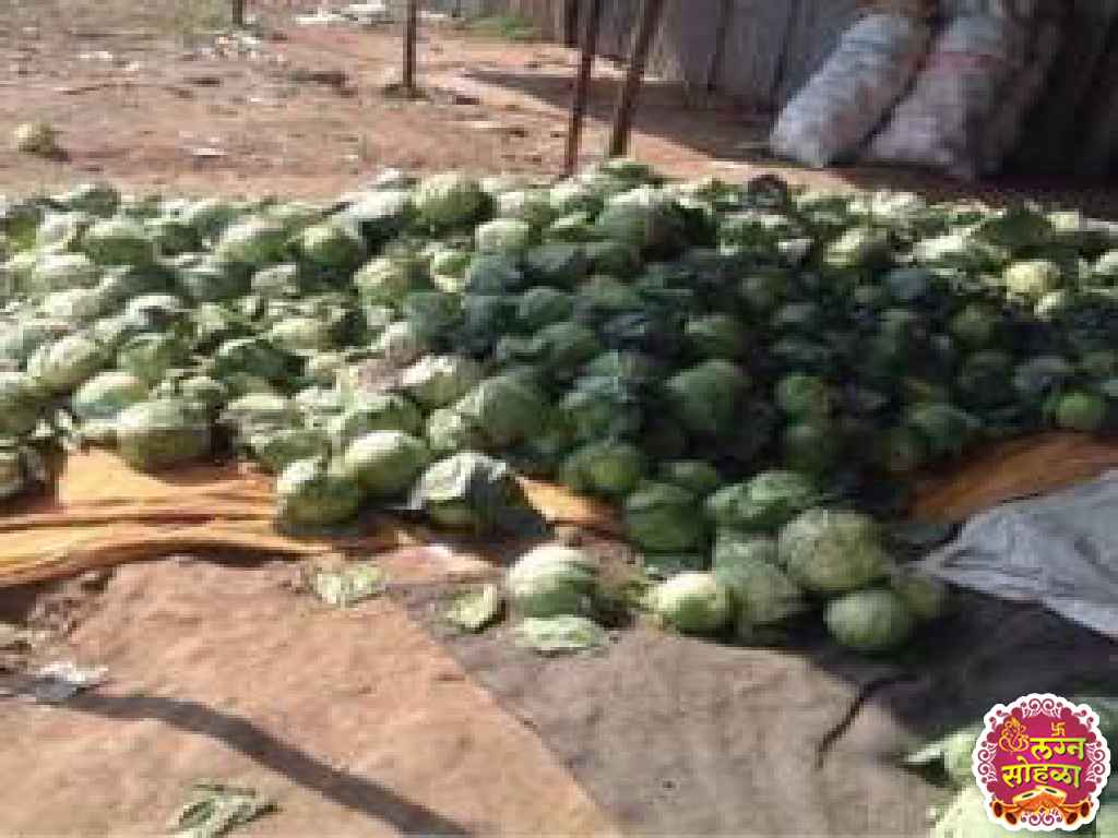 Sai Datta Vegetable Company 