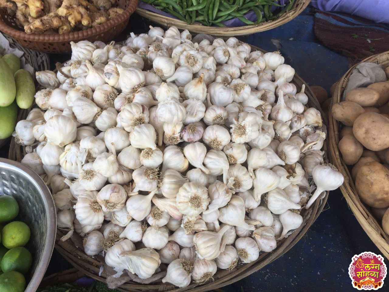 Shree Nagai Mata Vegetable Center 