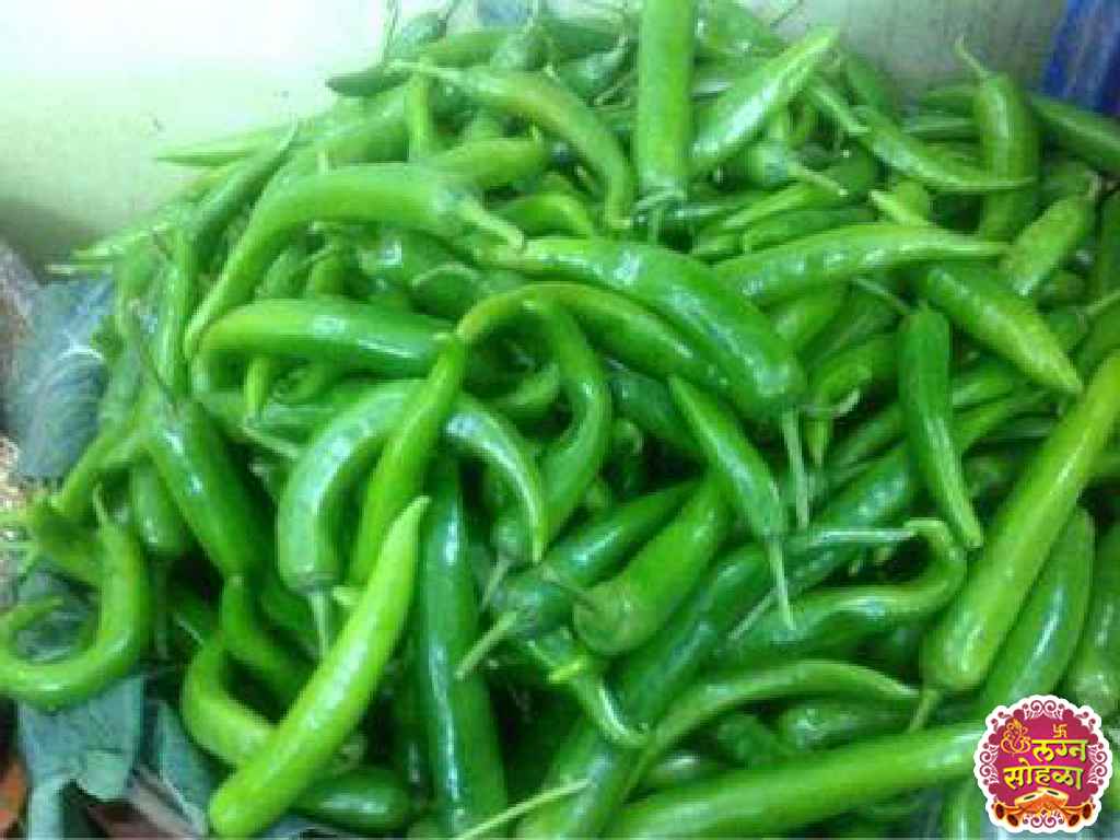 Bhimashankar Vegetable Company 