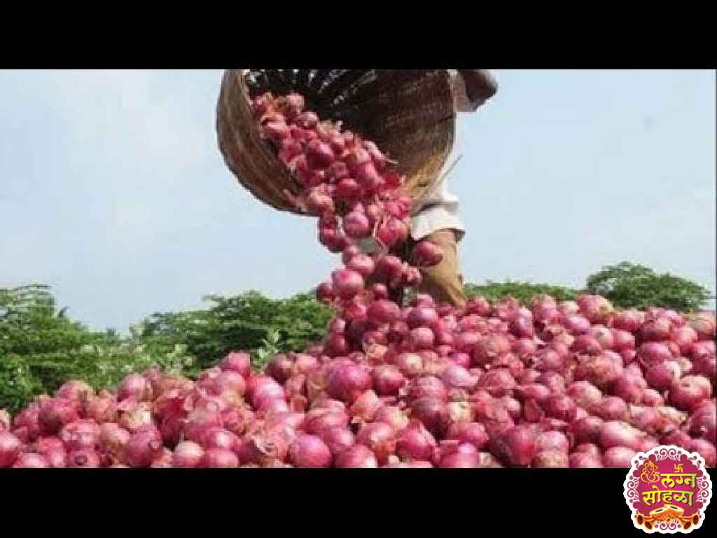 Onion Market 